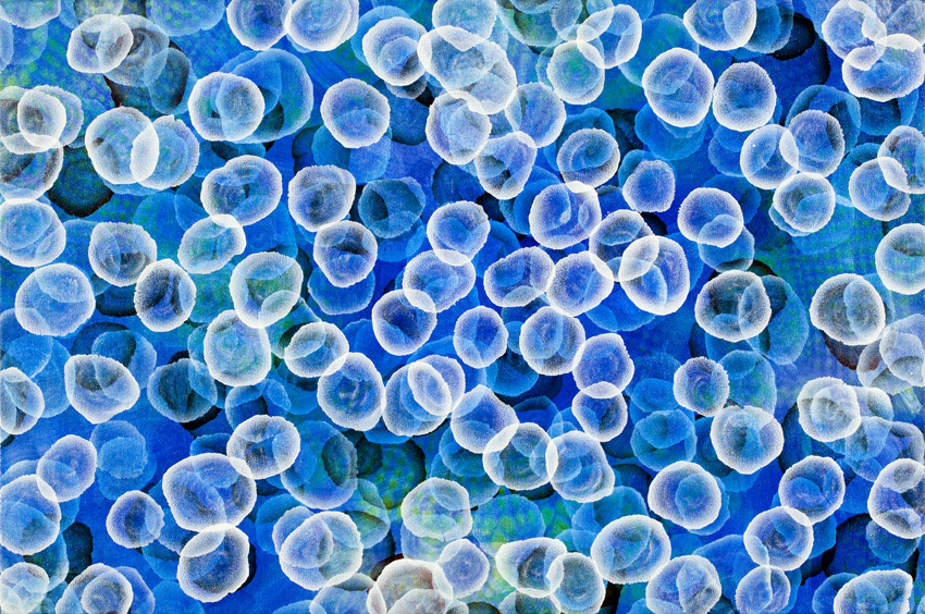 Aqueous Pulse III by Jacquelyn Stephens 