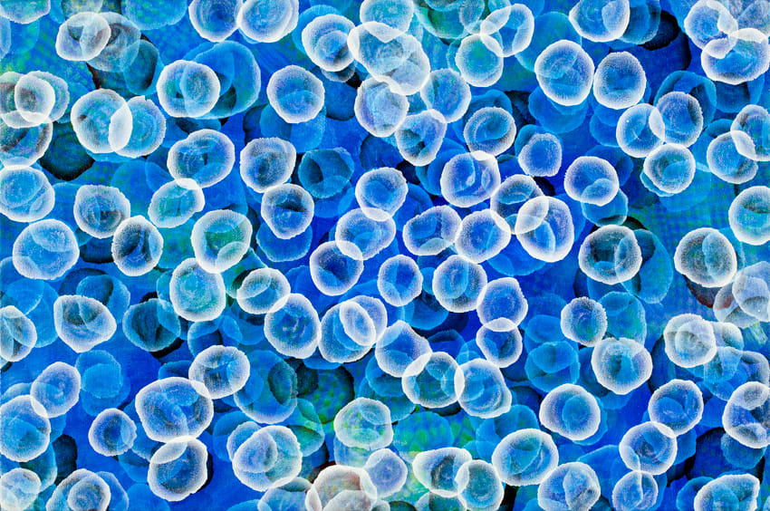 Aqueous Pulse III by Jacquelyn Stephens, Image 3.