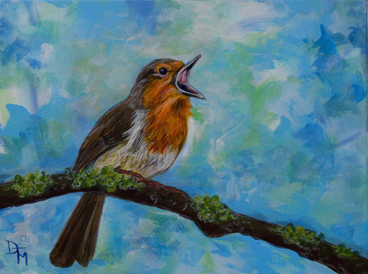 European Robin by Dierdra Michelle, Image 1.