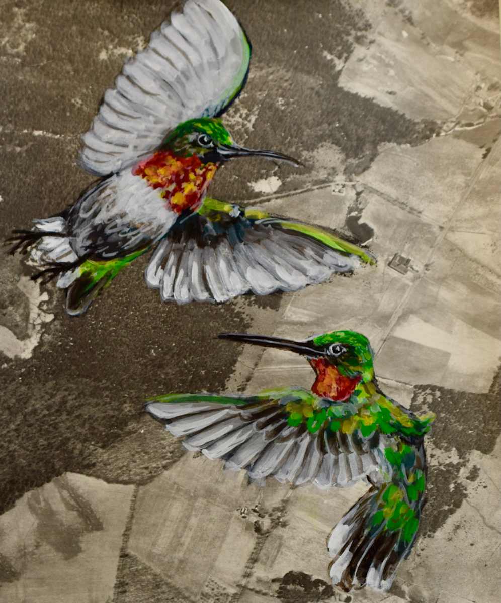 Map Birds/ Humming bird by Dierdra Michelle, Image 11.