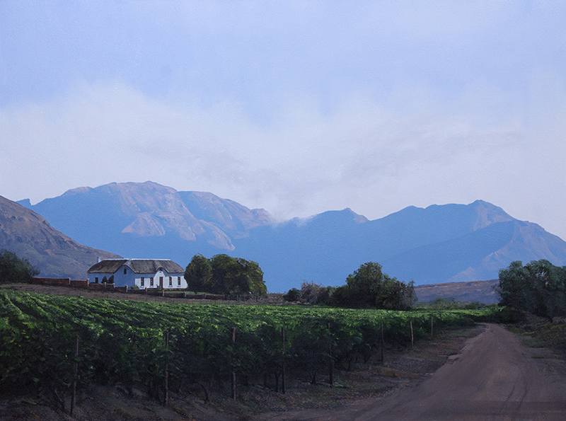 Western Cape Early Vines by Peter Bonney, Image 1.