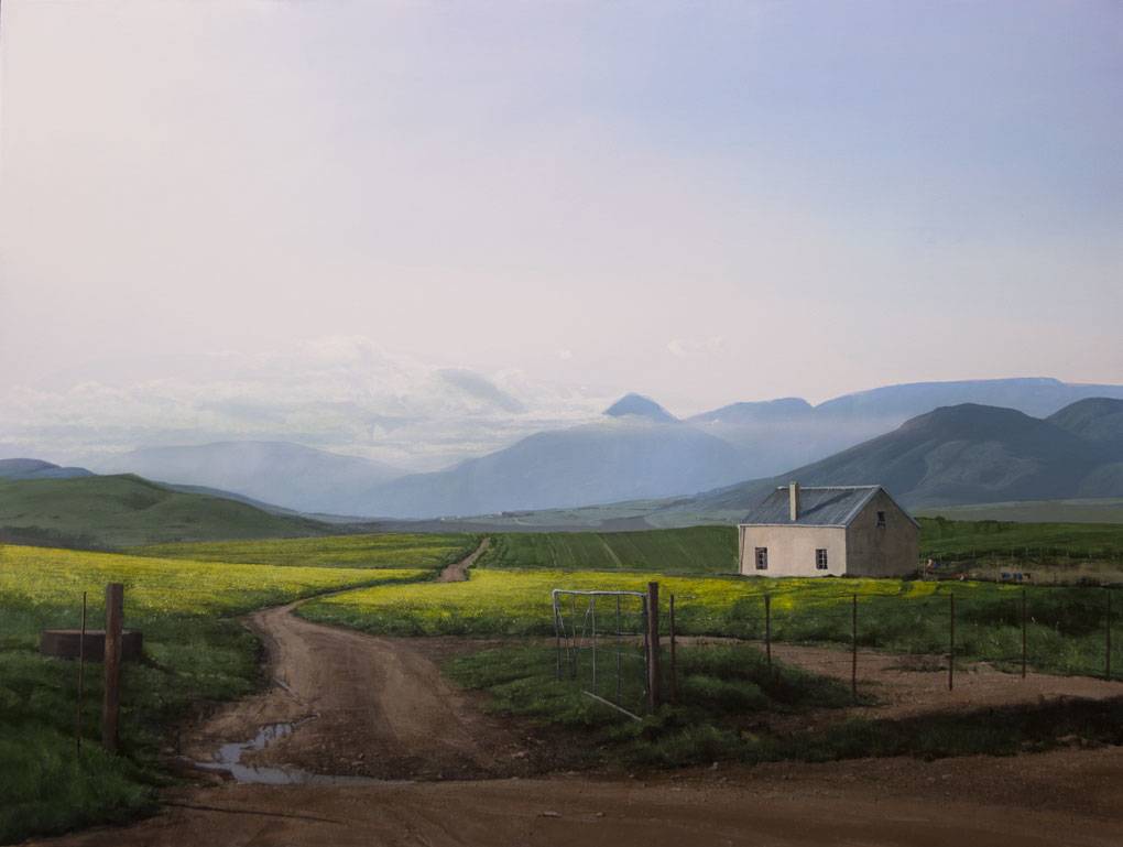 Caledon Canolas by Peter Bonney, Image 1.