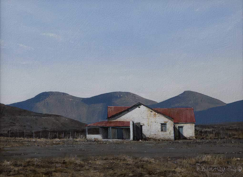 Karoo Late Light by Peter Bonney, Image 1.