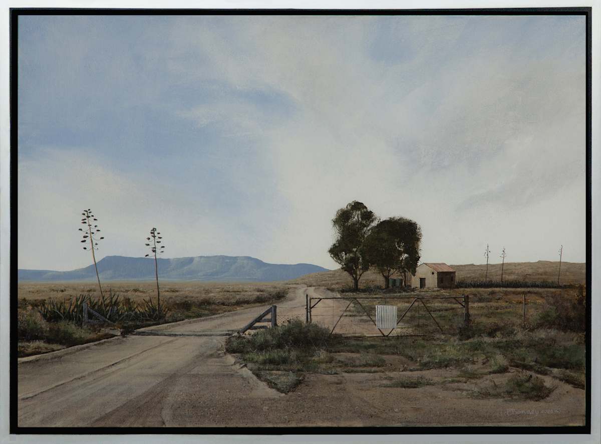 Karoo Sisal by Peter Bonney Artist, Image 1.