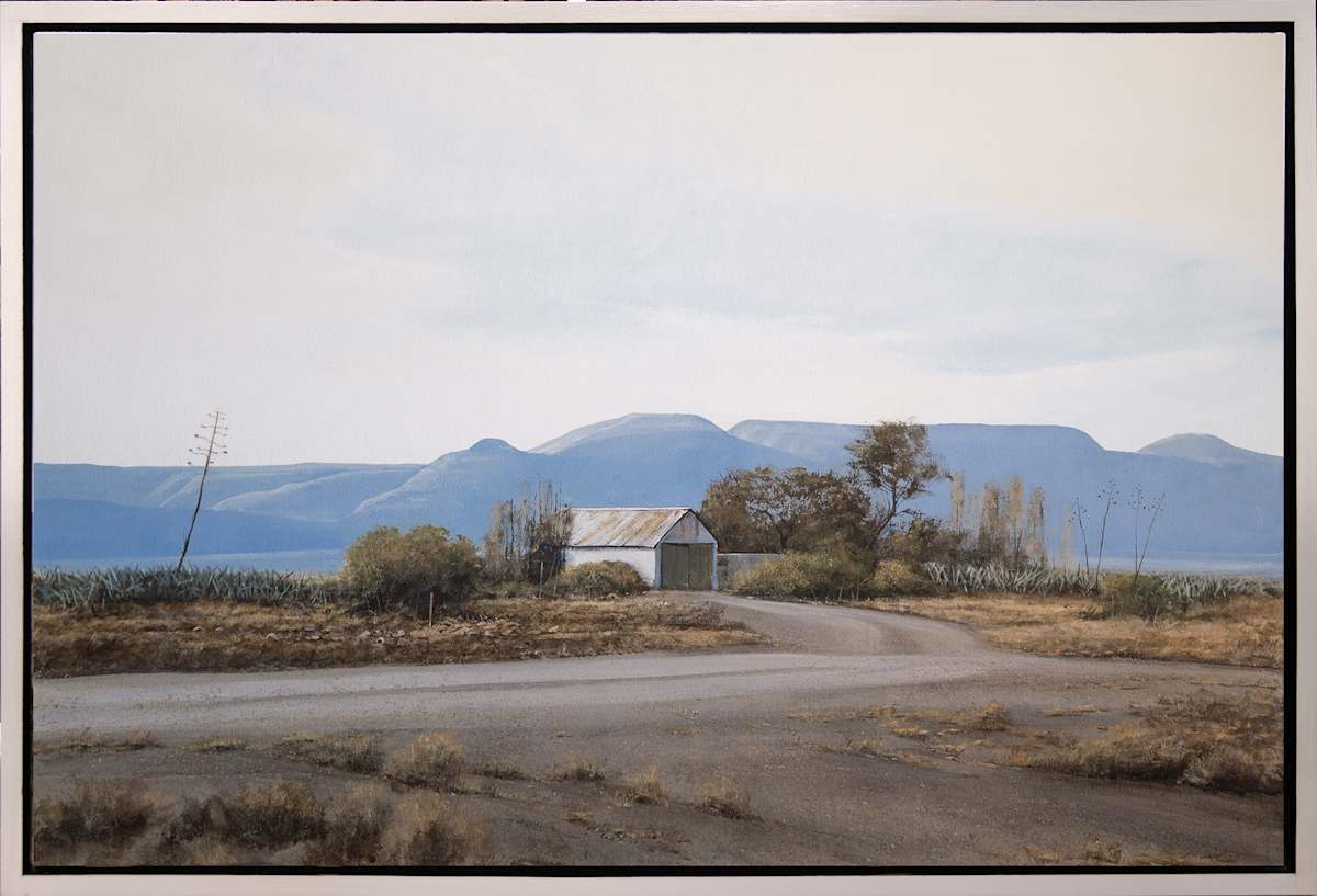 Sisal Tree Farm by Peter Bonney Artist, Image 1.