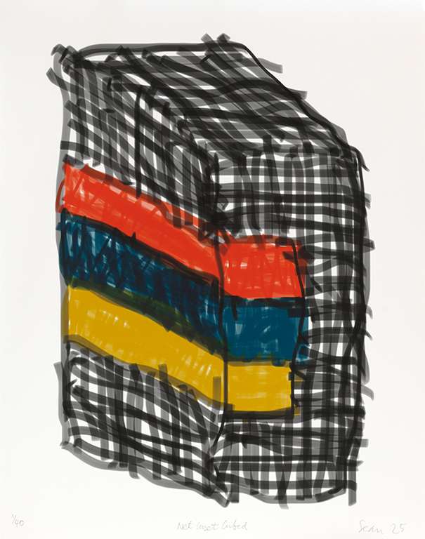 Net Inset Cubed by Sean Scully, Image 1.