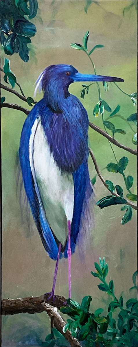 REGAL PLUMAGE by Debbie A Nye, Image 1.