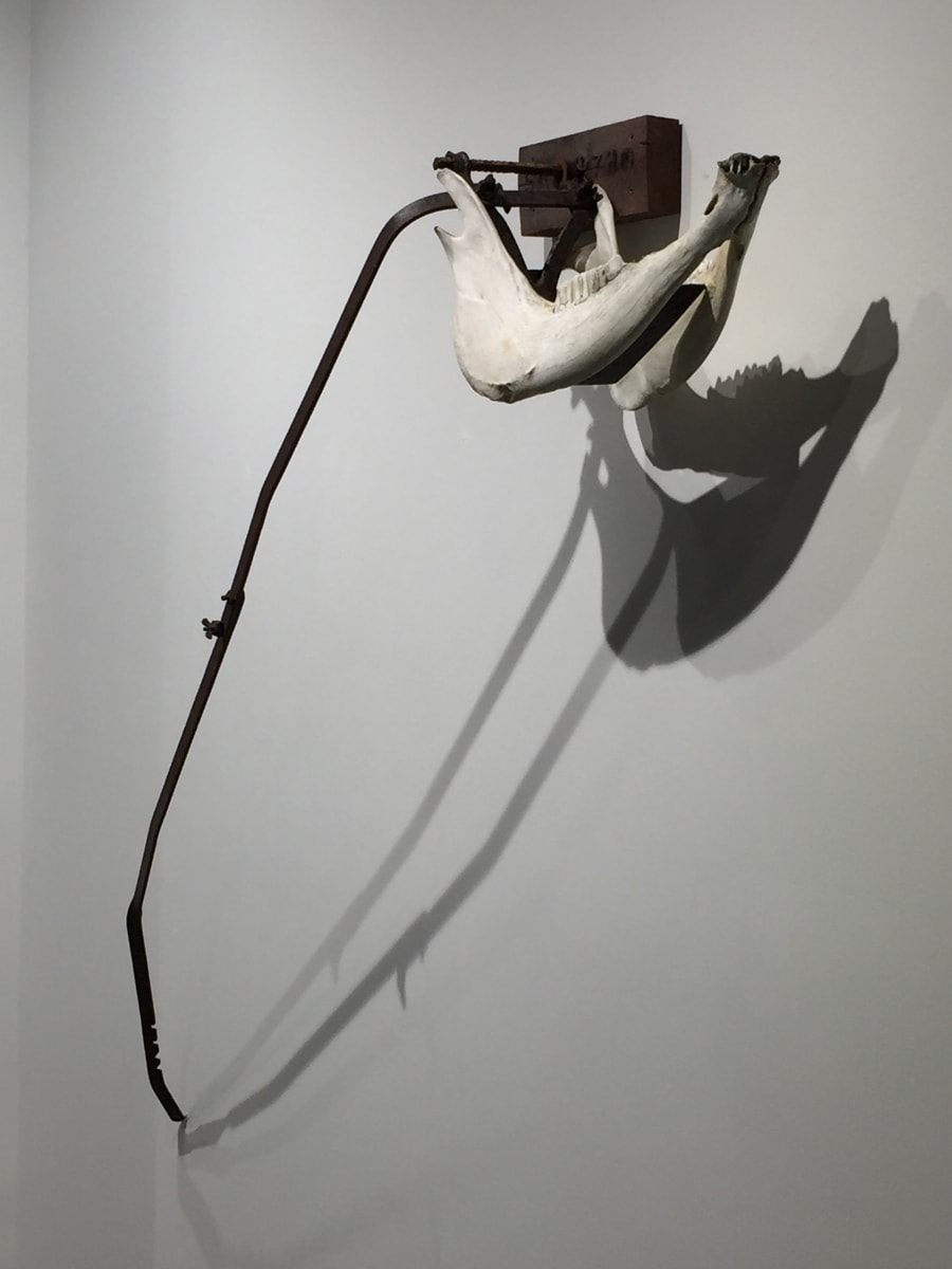 Saw Animal by Paddy Lamb 