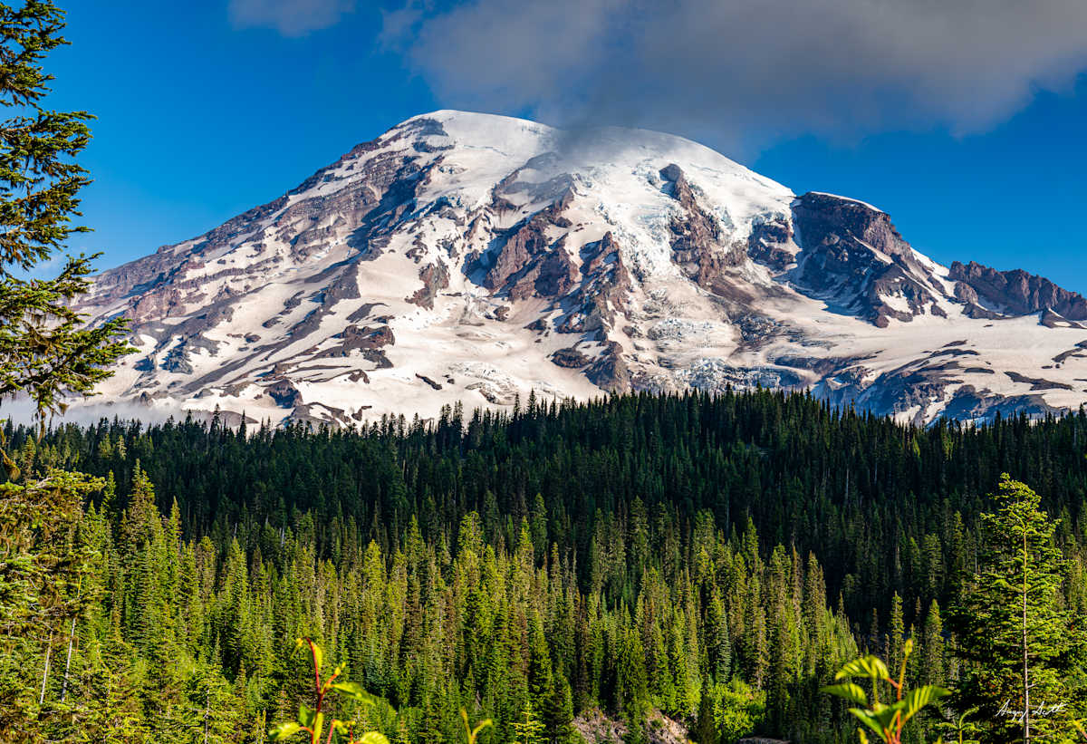Mt Rainier #8500185 by Gregory Scott Studio, Image 1.