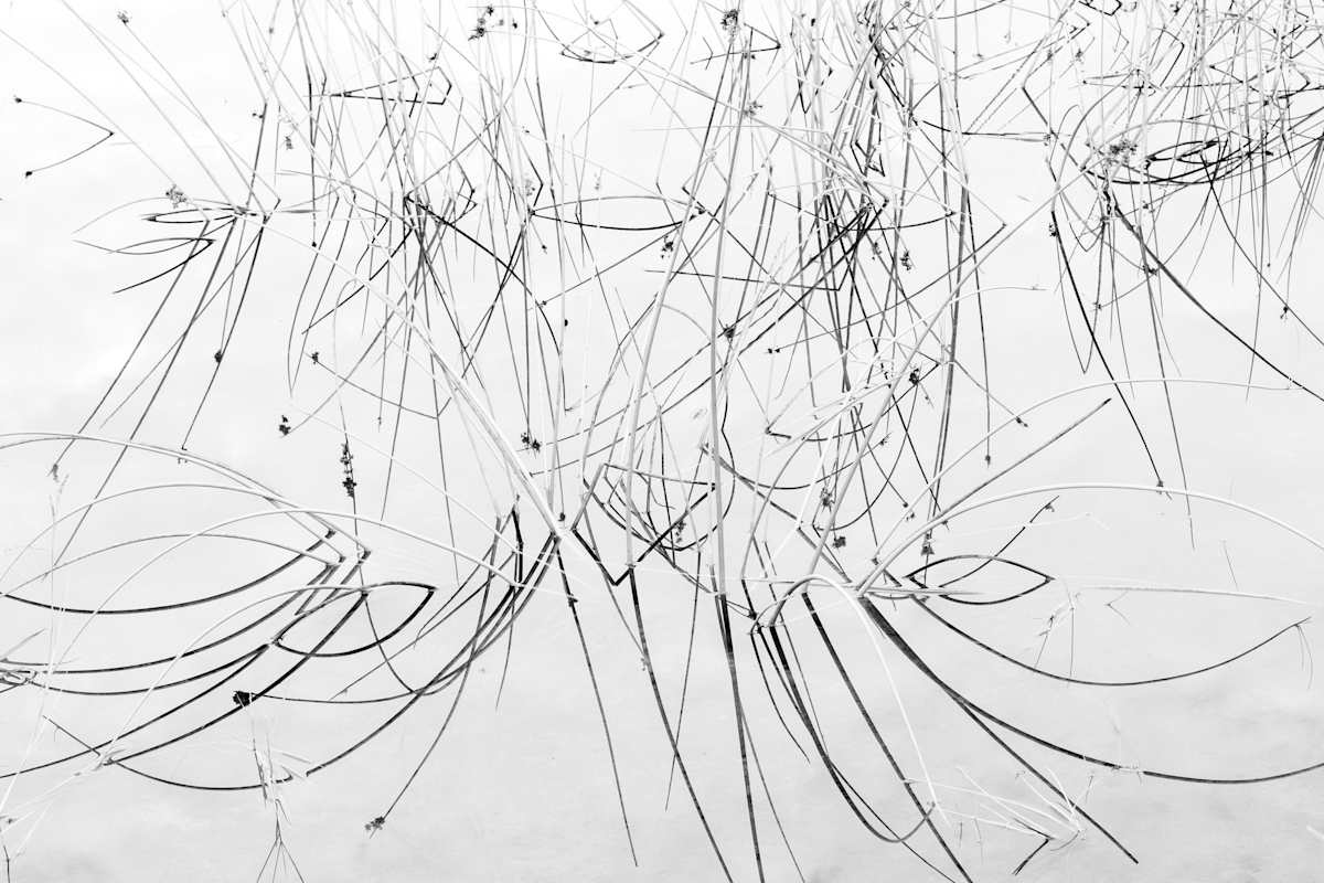 Garabatos I by Ysabela Coll, Image 1.