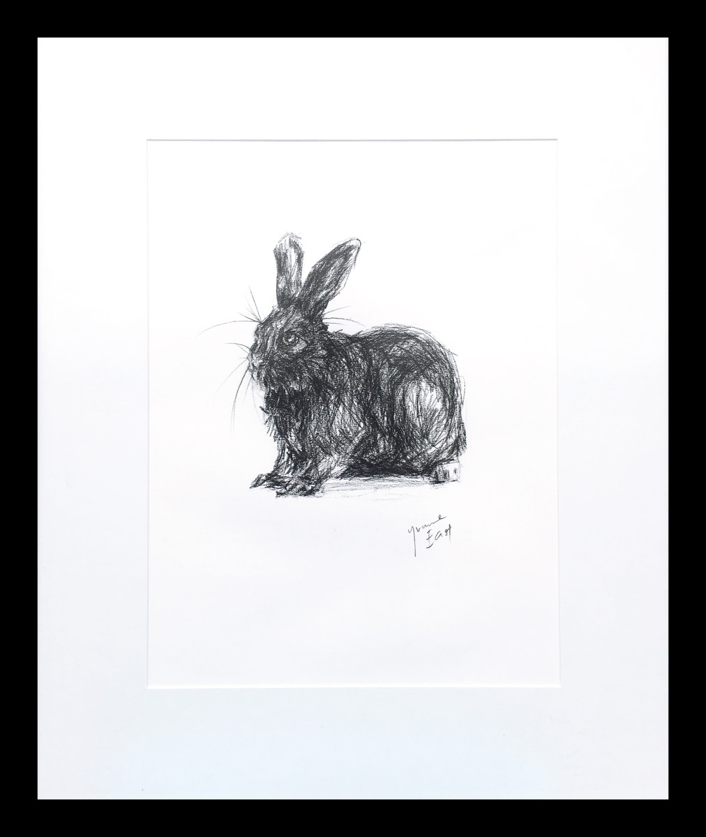 Rabbit 1 by Yvonne East 
