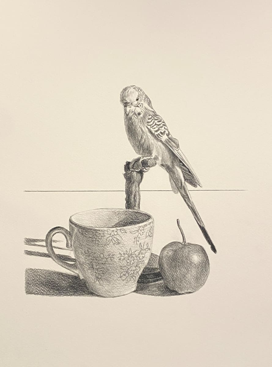 Still life with Budgerigar by Yvonne East 