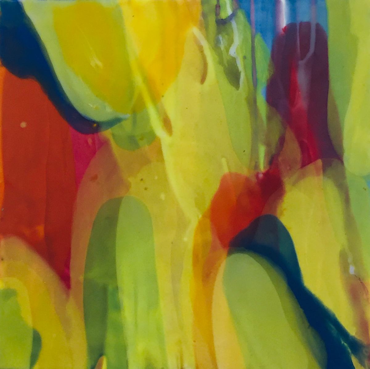 "Intracacies of Light" by ellen koment, Image 1.