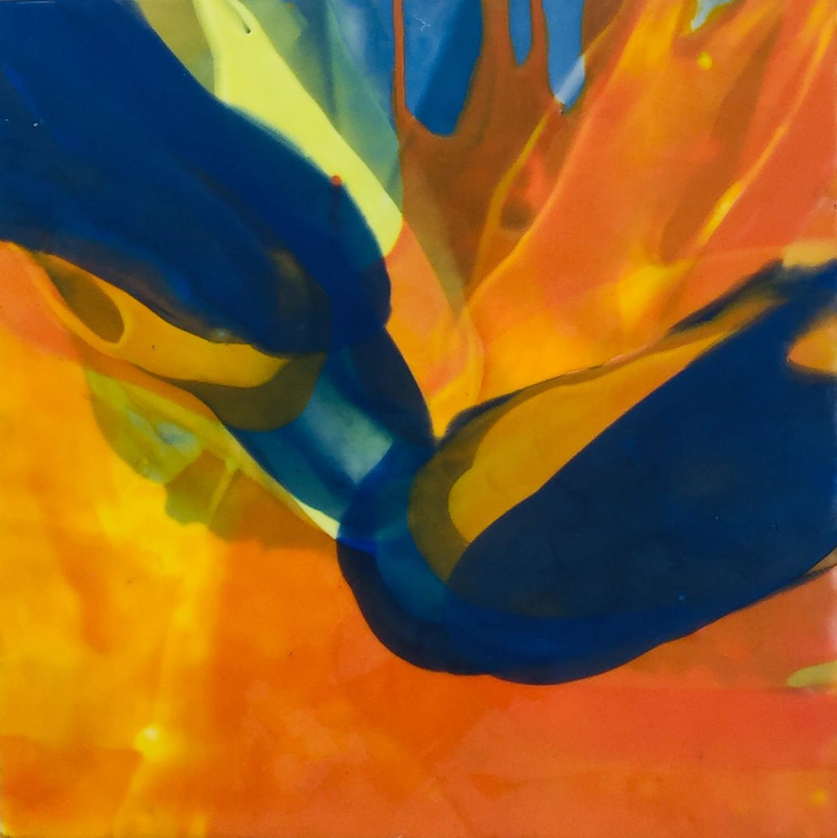 "Complexities" by ellen koment, Image 1.