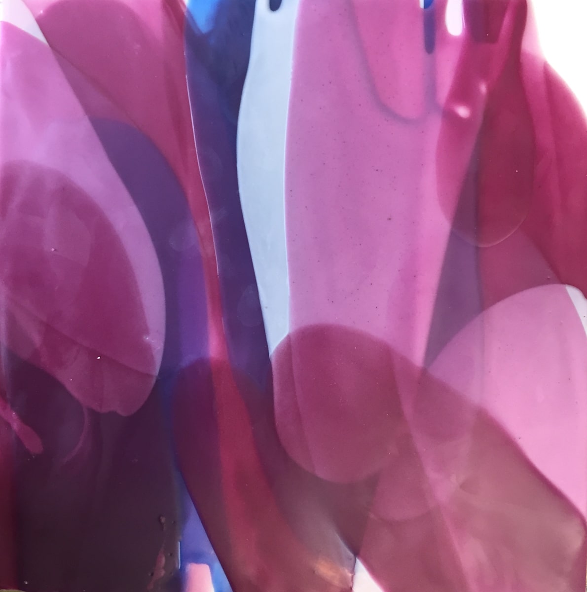 Purple Rhapsody: by ellen koment, Image 1.