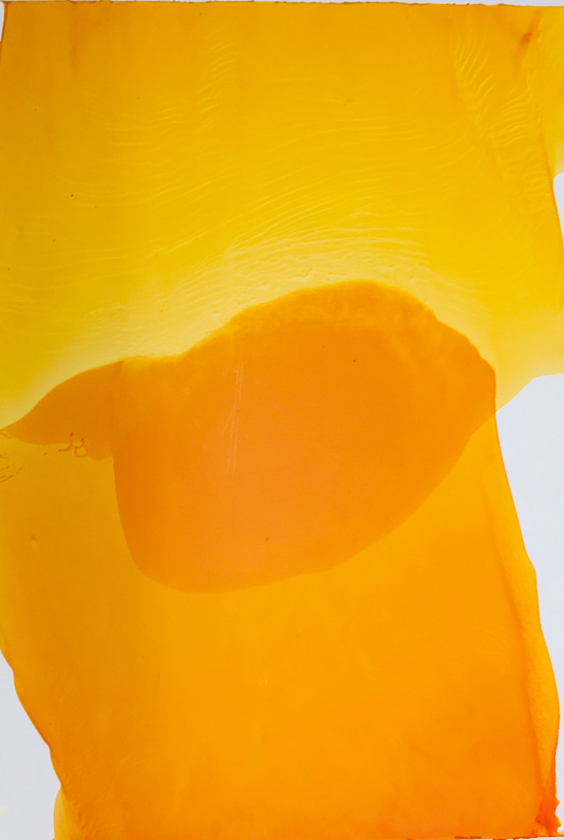 Yellow Rhapsody" by ellen koment, Image 1.