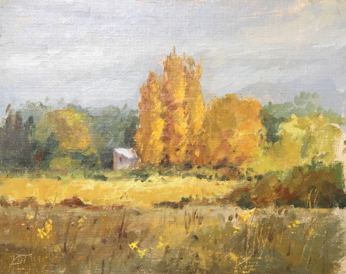 Autumn Trees,  Provence by Mo Teeuw 