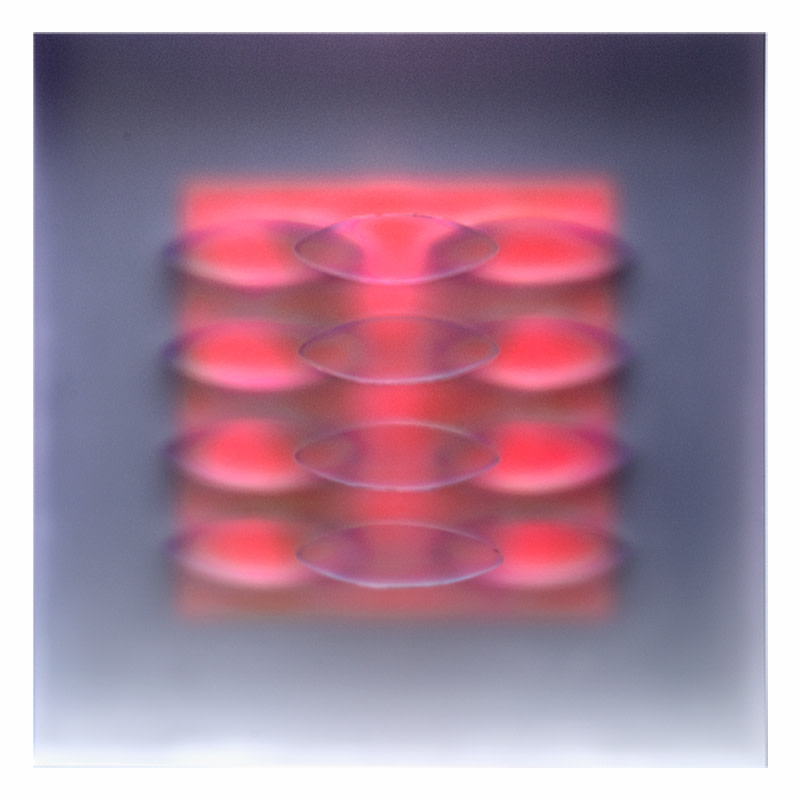 Brocade by Carrie Seid 