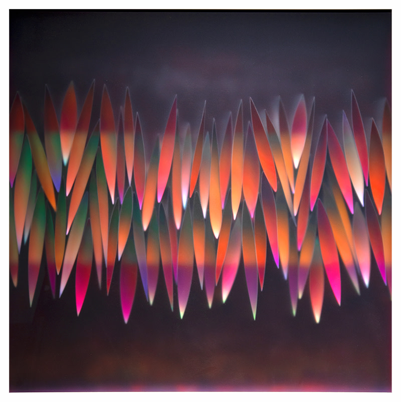 Cooperation by Carrie Seid 