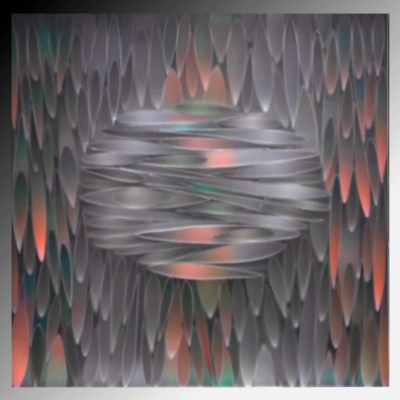 Dissent by Carrie Seid 