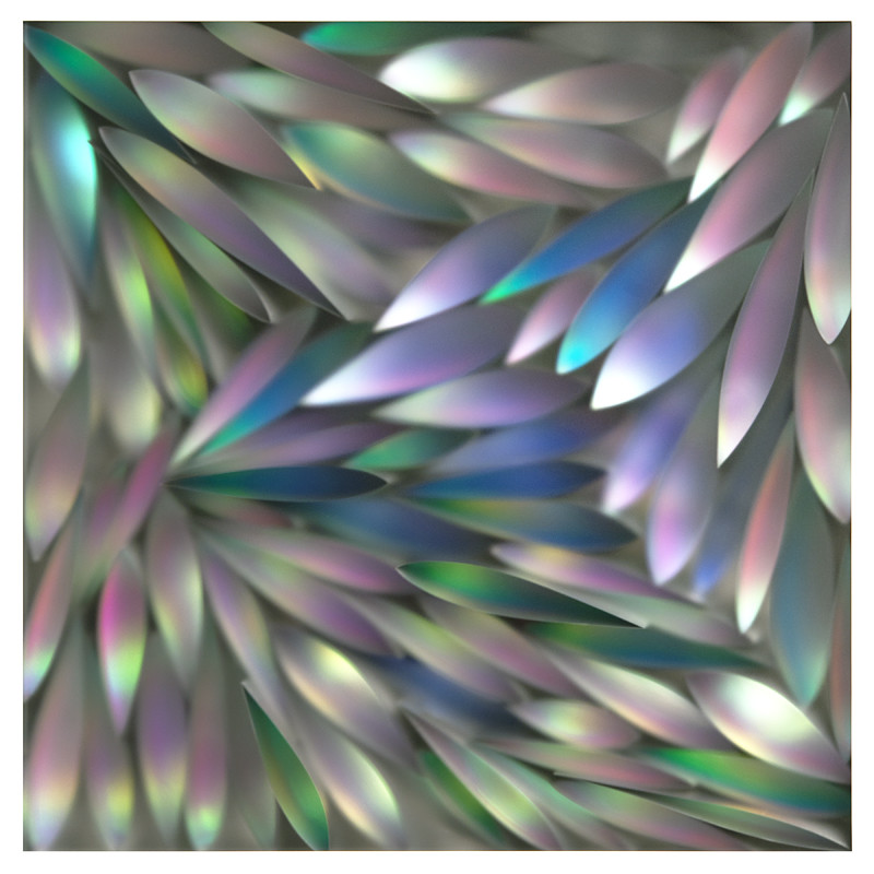 Flora Study by Carrie Seid 