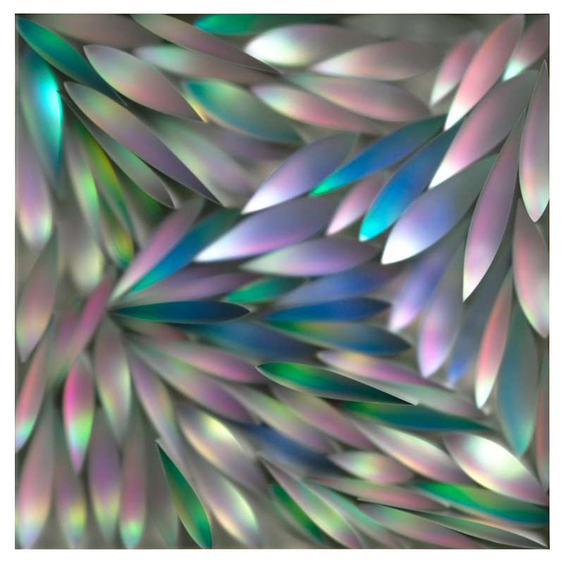 Flora Study by Carrie Seid, Image 3.