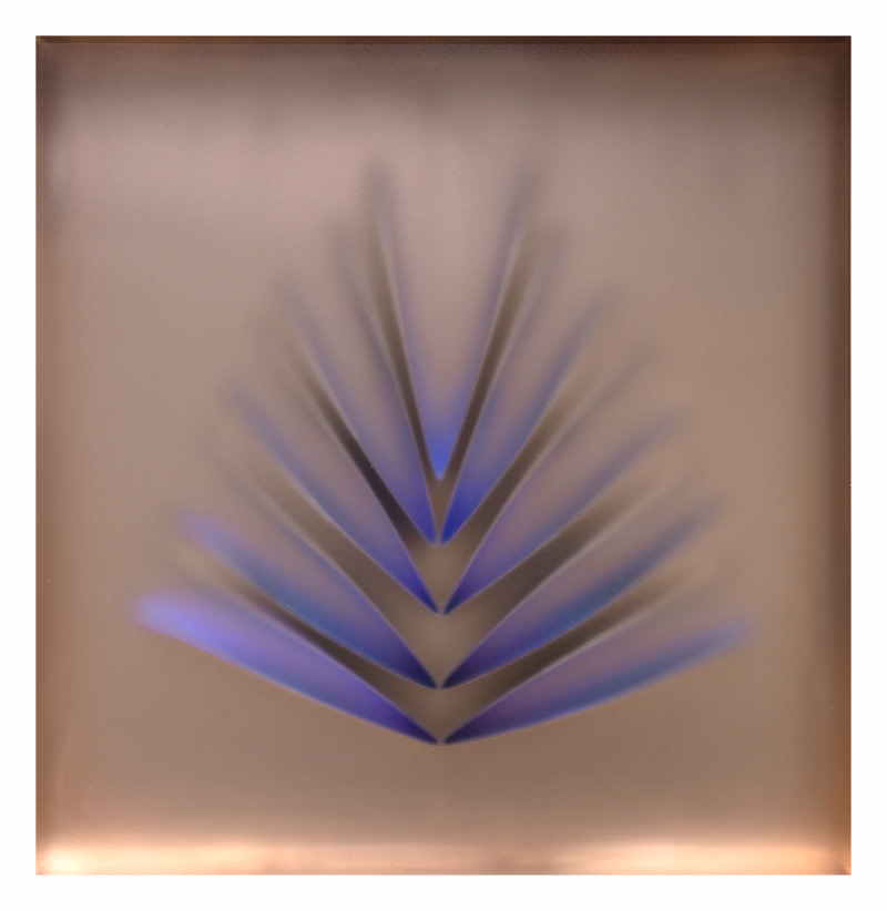 For Dita by Carrie Seid 