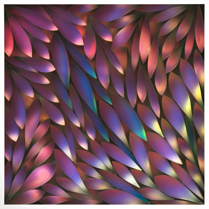 Lightswatch by Carrie Seid 