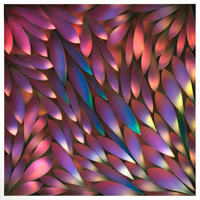 Lightswatch by Carrie Seid, Image 3.