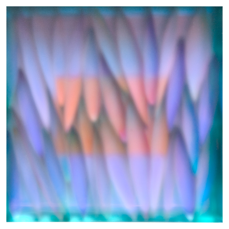 Overlay by Carrie Seid 