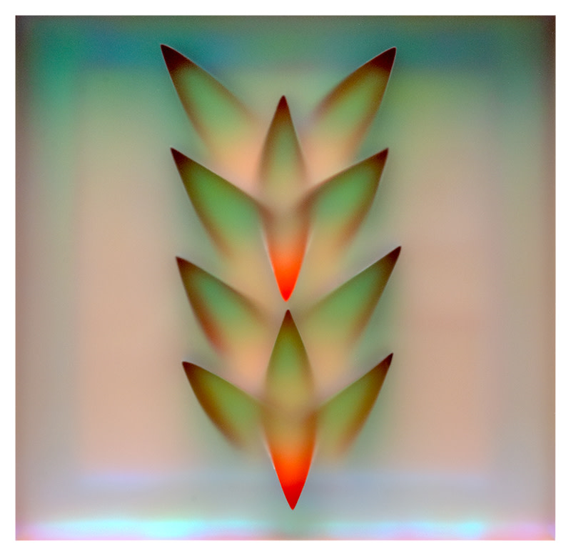 Wanderlust by Carrie Seid 