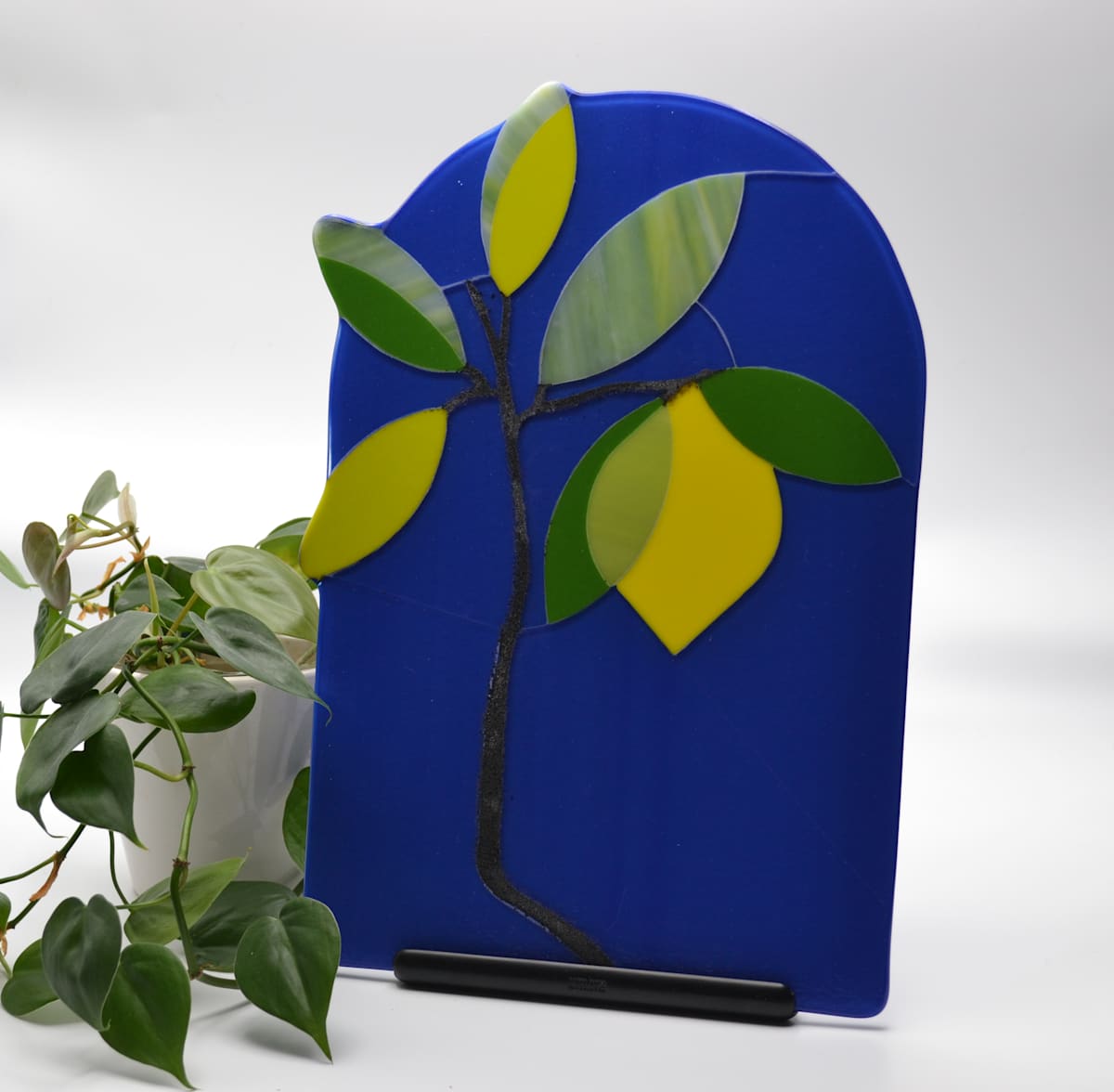 Charlie's Lemon by Anna Mae Tiry, Image 1.