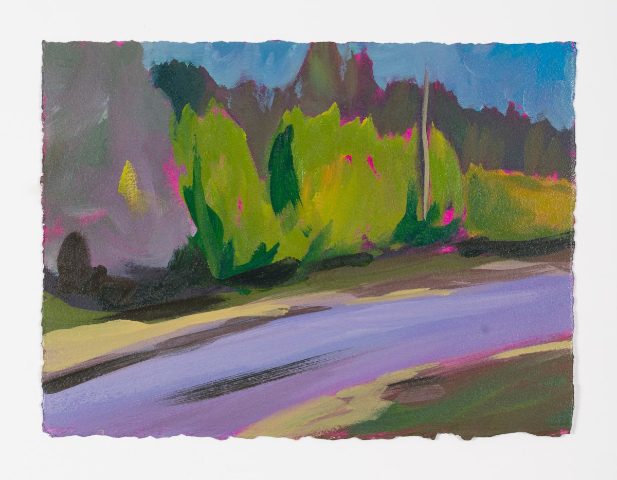 Hedges by the Road - Purple and Green by Peter Gynd 