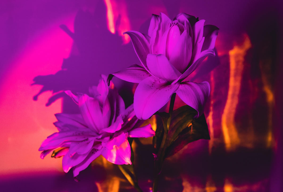 Spectrum XVII by Faith Parks, Image 1.