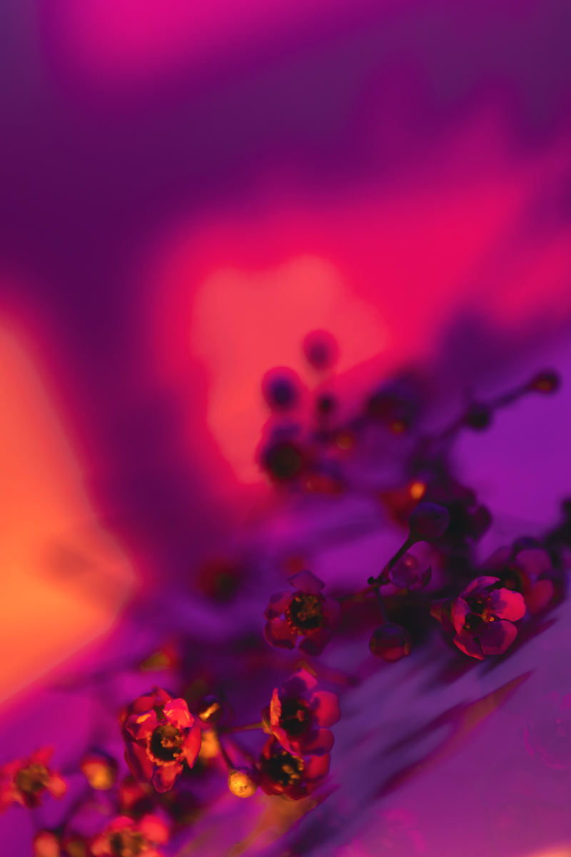 Spectrum XLII by Faith Parks, Image 1.