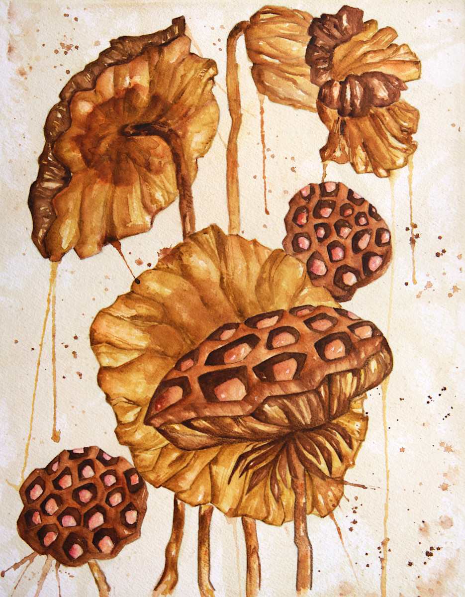 Dead Lotus by Faith Parks, Image 1.