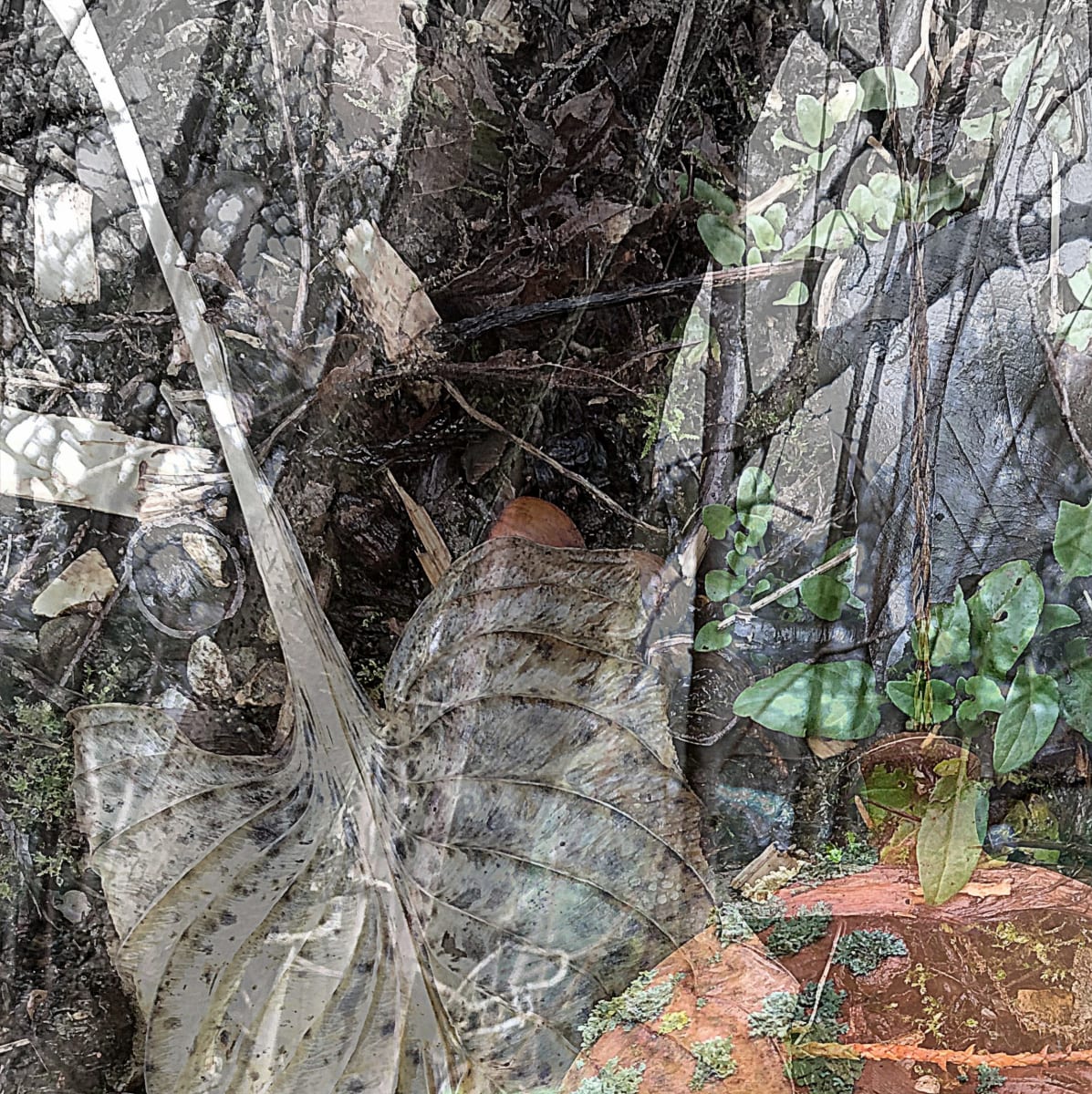 Remember the Wildlife  2of10 by Victoria Johns Art 