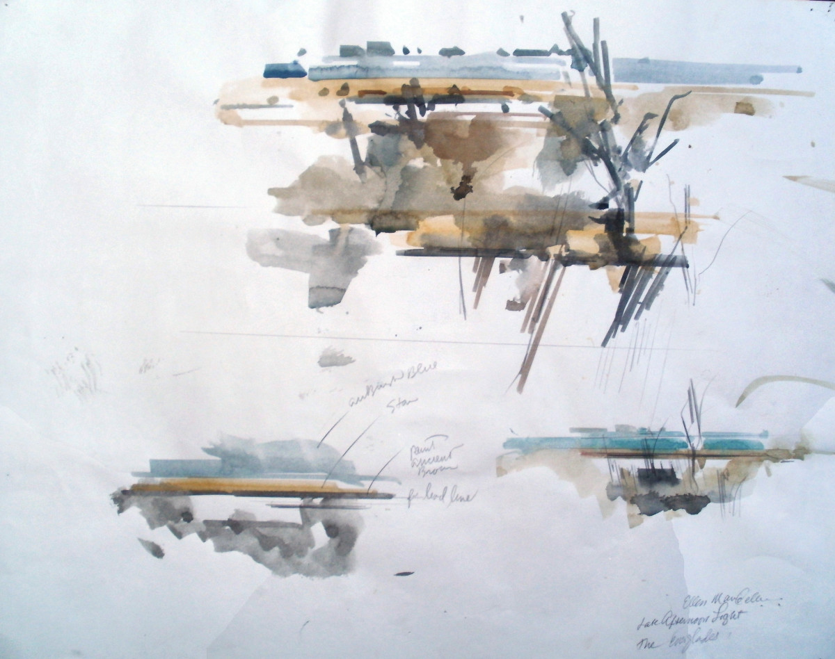 Everglades: Late Afternoon Light by Ellen Mandelbaum 