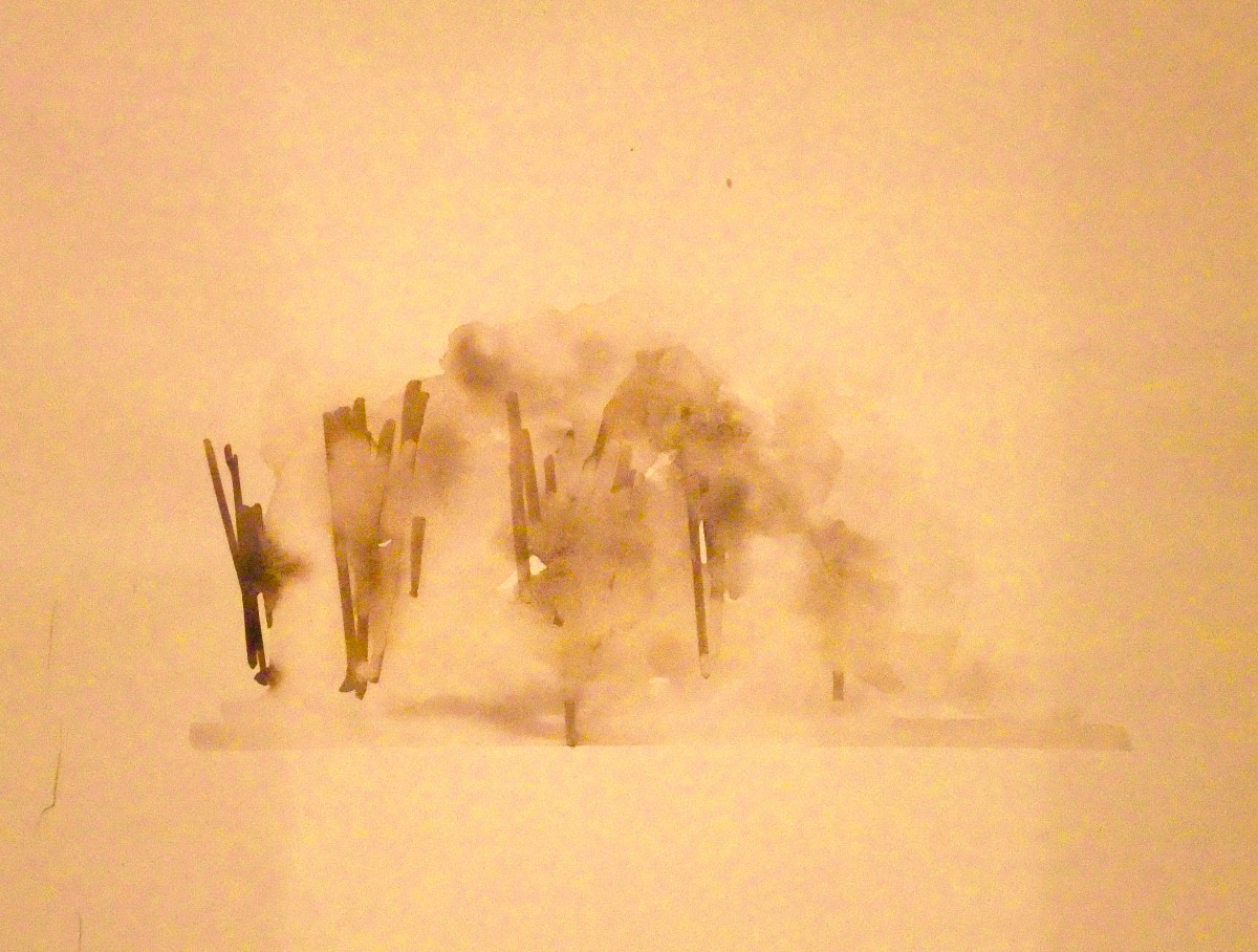 Fog by Ellen Mandelbaum 