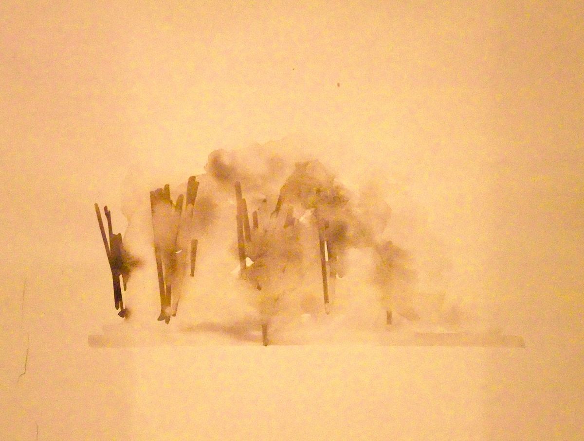 Fog by Ellen Mandelbaum, Image 1.