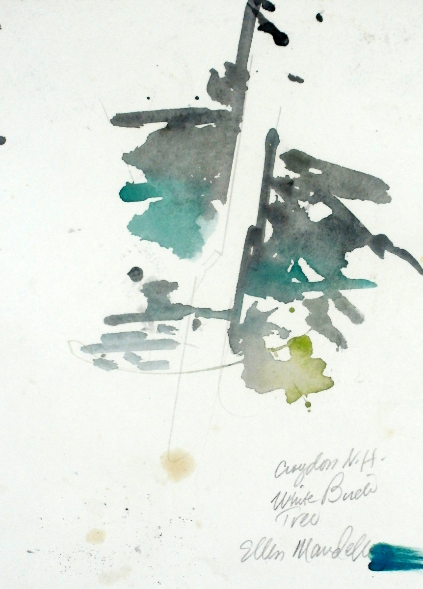 White Birch Tree by Ellen Mandelbaum 