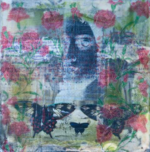 Delight In Life by Tony Bounsall, Image 11.