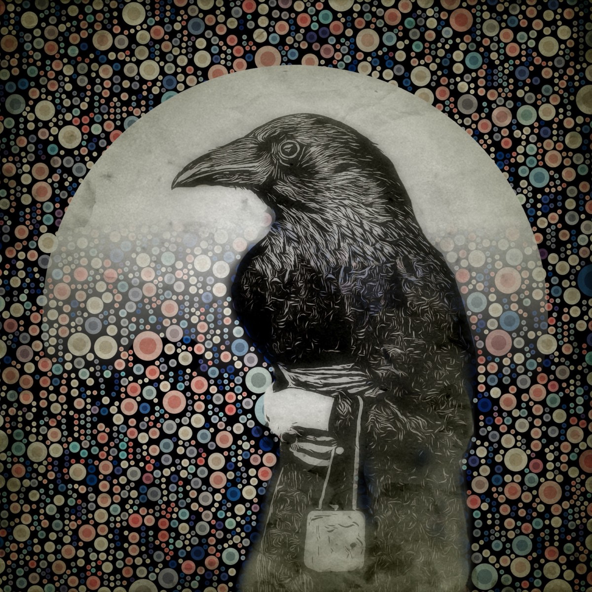 Old Crow by Tony Bounsall 