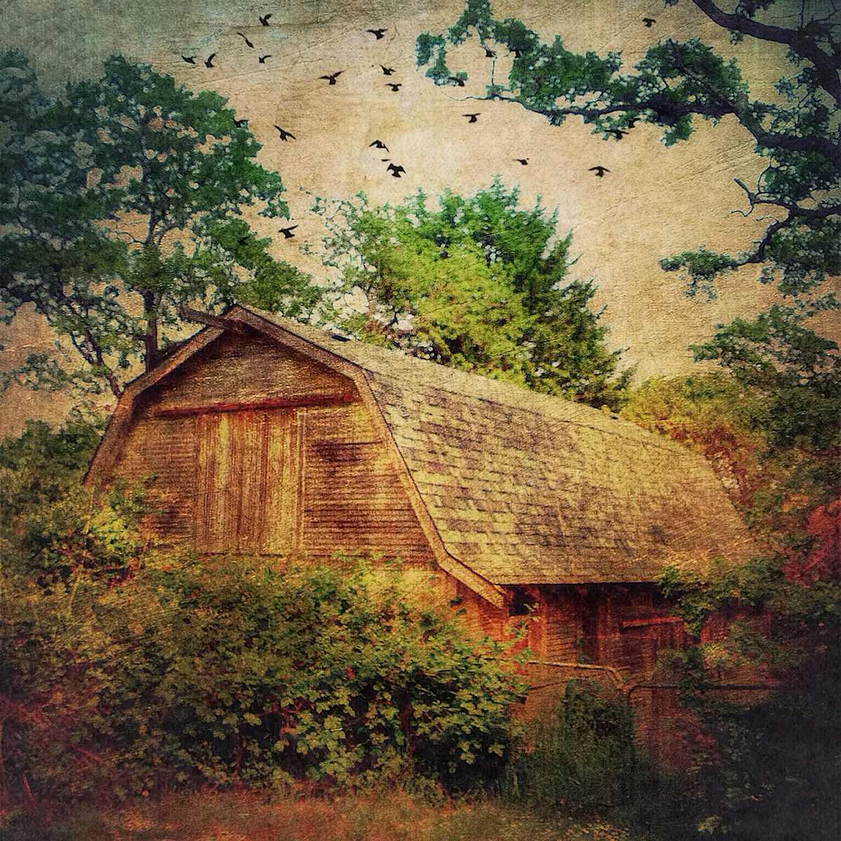 Country Life by Tony Bounsall 