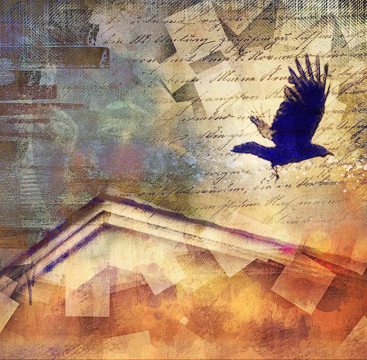 Fly Away Home by Tony Bounsall 