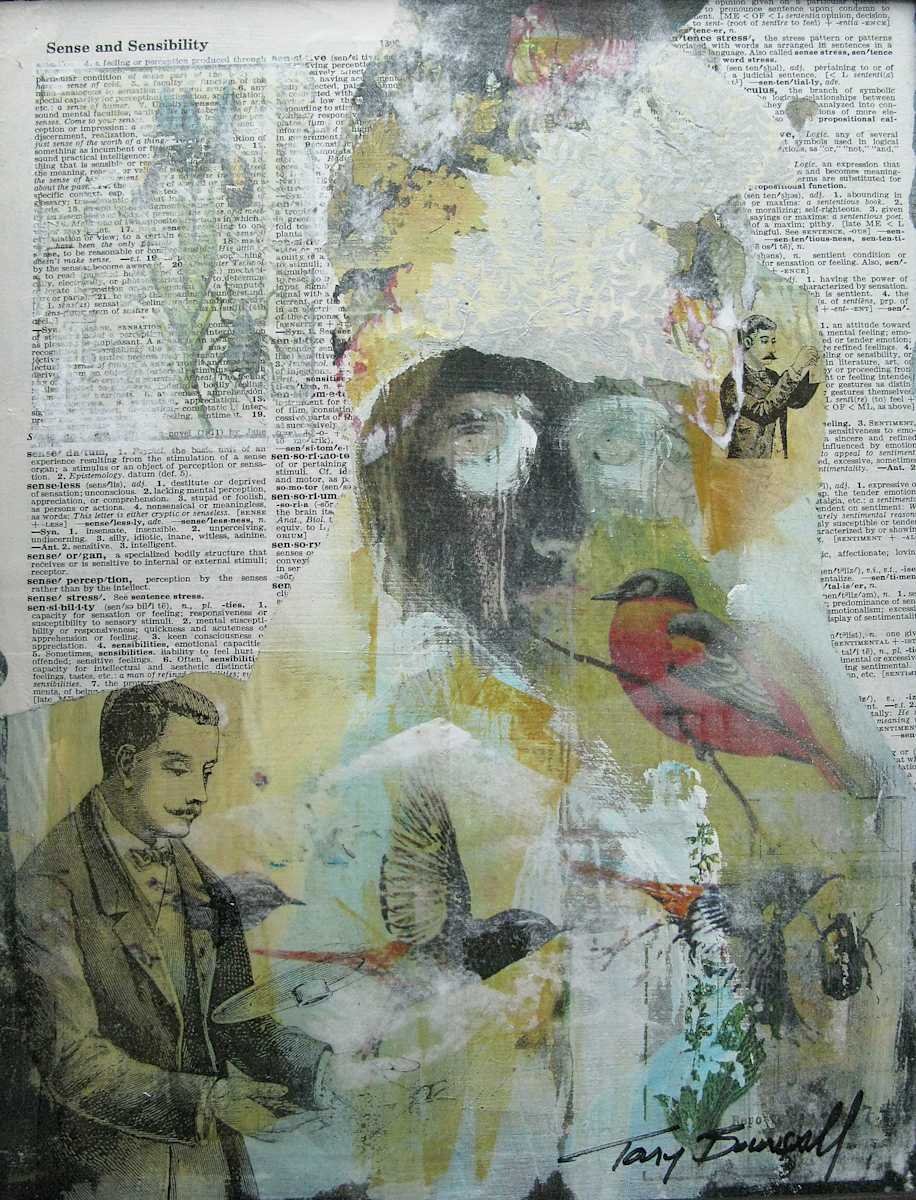 Sense & Sensibility by Tony Bounsall 