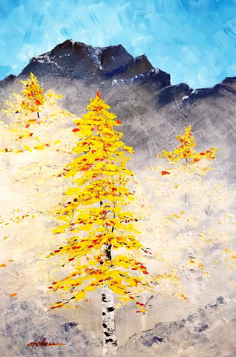 Aspen Grove by M Shane 