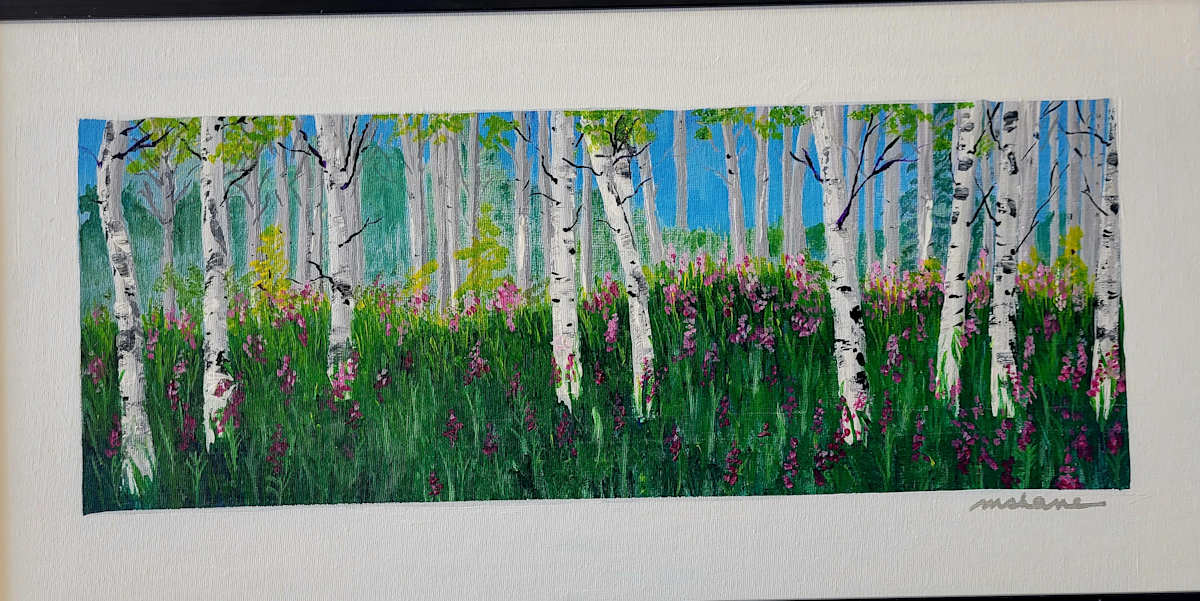 Fireweed Commission Study by M Shane 