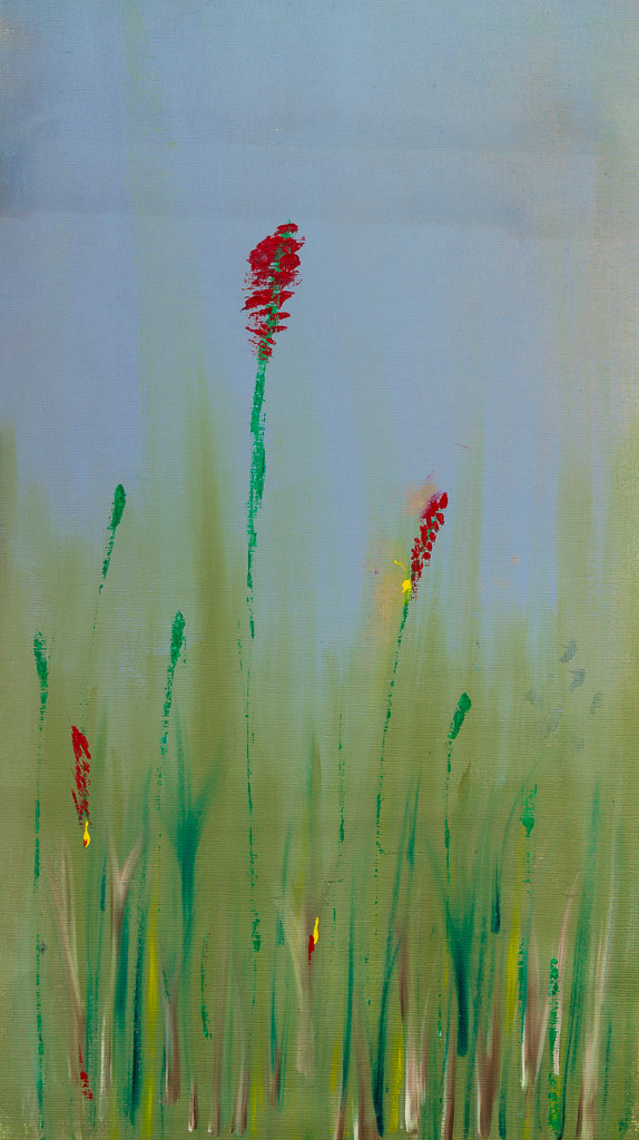 Misty Headlands by M Shane 