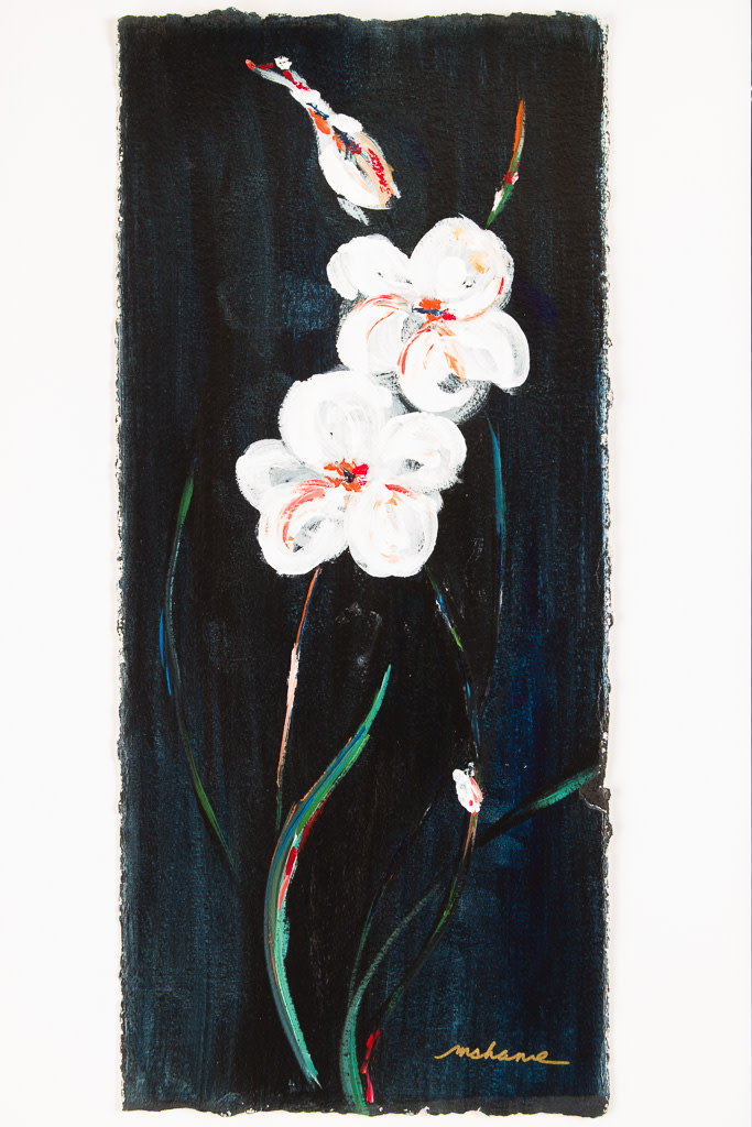 Orchid White by M Shane 